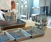 section_img_2_1.jpg